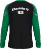Alberstedter SV Jako Longsleeve Sonic