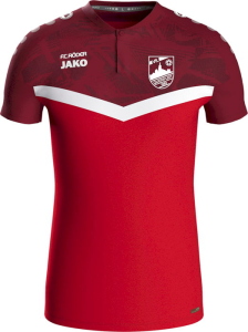 VfL Querfurt Jako Polo Iconic