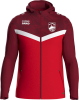 VfL Querfurt Jako Kapuzenjacke Iconic