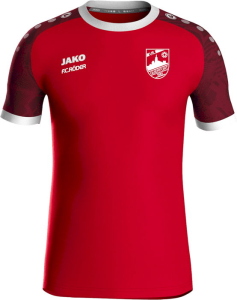 VfL Querfurt Jako Trikot Iconic