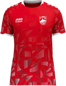 VfL Querfurt Jako Trikot Sonic