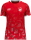 VfL Querfurt Jako Trikot Sonic