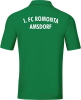 1.FC Romonta Amsdorf Jako Poloshirt Base