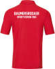 Baumersrodaer SV Jako Poloshirt Base