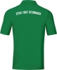 DTSV 1867 Steinbach Jako Poloshirt Base