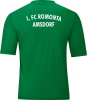 1.FC Romonta Amsdorf Jako Trikot Team