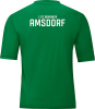 1.FC Romonta Amsdorf Jako Trikot Team