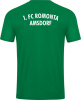 1.FC Romonta Amsdorf Jako Trikot Power