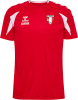 SG Spergau Handball Hummel Trikot Core 2.0