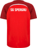 SG Spergau Handball Hummel Trikot Lead 2.0