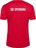 SG Spergau Handball Hummel Trikot Authentic Poly