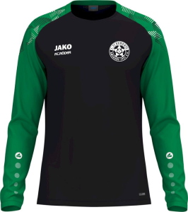 1.FC Romonta Amsdorf Jako Longsleeve Sonic