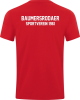 Baumersrodaer SV Jako T-Shirt Power