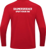 Baumersrodaer SV Jako Sweat Power