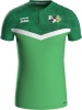 SpG Tannenberg/Geyer II Jako Polo Iconic
