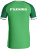 SV Burgwerben Jako Trikot Iconic