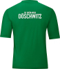 SG Grün-Weiß Döschwitz Jako Trikot Team