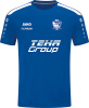SV Blau-Weiß Farnstädt Jako Trikot Power