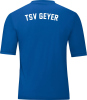 TSV Geyer Jako Trikot Team