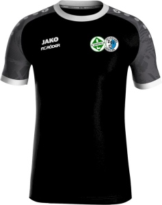 Germania/Leissling Jako Trikot Iconic