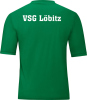 VSG Löbitz Jako Trikot Team