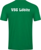 VSG Löbitz Jako Trikot Power