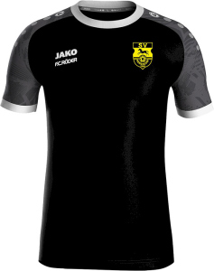SV Mertendorf Jako Trikot Iconic