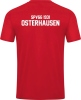 SpVgg Osterhausen Jako Trikot Power