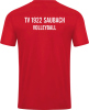 TV 1922 Saubach Volleyball Jako Trikot Power