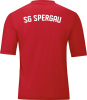 SG Spergau Jako Trikot Team