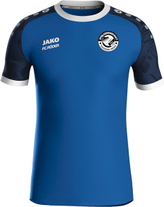 SG Teuchern Nessa Jako Trikot Iconic