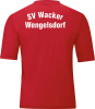 SV Wacker Wengelsdorf Jako Trikot Team