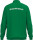 SG Grün-Weiß Döschwitz Jako Polyesterjacke One