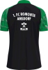 1.FC Romonta Amsdorf Dart Jako Polo Sonic