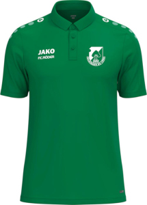 Gleinaer SV Jako Polo One