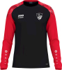 TSV Rot-Weiß Arnsfeld Jako Longsleeve Sonic