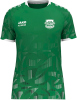 SG Grün-Weiß Döschwitz Jako Trikot Sonic