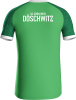 SG Grün-Weiß Döschwitz Jako Trikot Iconic