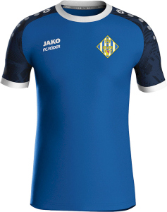 TSV Geyer Jako Trikot Iconic