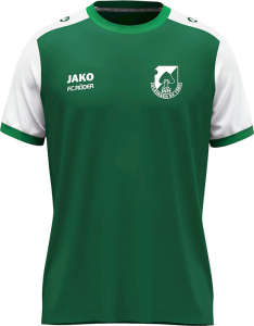 Gleinaer SV Jako Trikot Dynamic