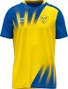 SV Großgrimma Jako Trikot Vintage
