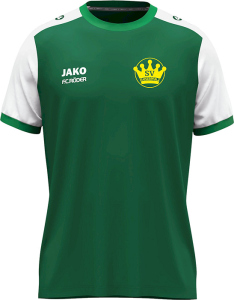 SV Kaiserpfalz Jako Trikot Dynamic
