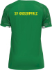 SV Kaiserpfalz Jako Trikot Sonic