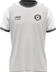 SG Kickers Süd Jako Trikot Dynamic