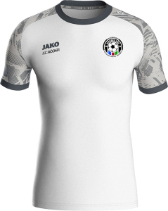 SG Kickers Süd Jako Trikot Iconic