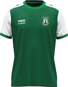 SV GW Langeneichstädt Jako Trikot Dynamic