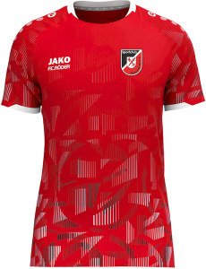 SC Naumburg Jako Trikot Sonic