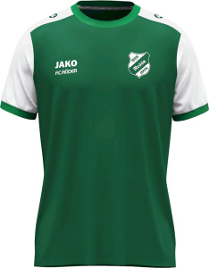 VfB Nessa Jako Trikot Dynamic
