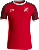 SpVgg Osterhausen Jako Trikot Iconic