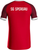 SG Spergau Jako Trikot Iconic